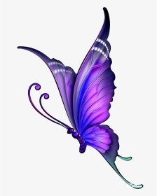 Butterfly Drawing Color Clip Art - Butterfly Drawing With Color, HD Png Download, Transparent PNG
