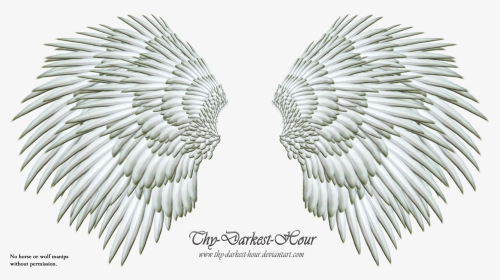 More Like Angel Wings Png 06 By Thy Darkest Hour - Clip Art, Transparent Png, Transparent PNG
