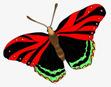 Black Red Butterfly Image - Red Butterfly Free Clipart, HD Png Download, Transparent PNG