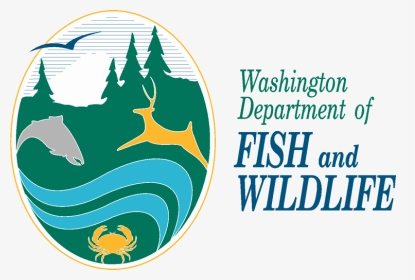 Washington Department Of Fish And Widlife - Washington Fish And Wildlife, HD Png Download, Transparent PNG