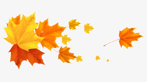 Fall Leaves Transparent Background, HD Png Download, Transparent PNG