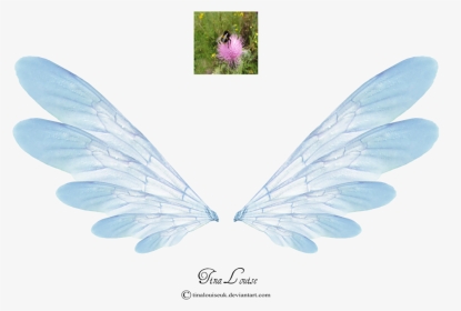 Fairy Wings Pink Png, Transparent Png, Transparent PNG