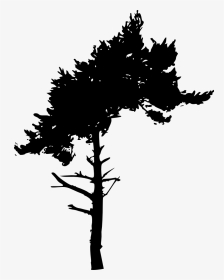 Tree Silhouette - Tree Silhouette Cut Out Png, Transparent Png, Transparent PNG