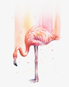Flamingo Watercolor Painting, HD Png Download, Transparent PNG