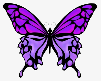 Butterflies Drawing Color - Silhouette Butterfly Vector Png, Transparent Png, Transparent PNG