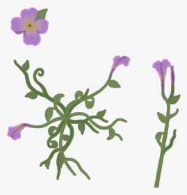Flower Texture - Viola, HD Png Download, Transparent PNG