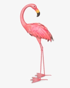 #ftestickers #watercolor #illustration #flamingo #pinkflamingo - Flamingo Transparent Background, HD Png Download, Transparent PNG