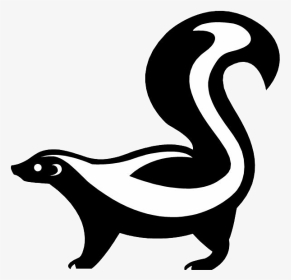 Skunk Cartoon Drawing, HD Png Download, Transparent PNG
