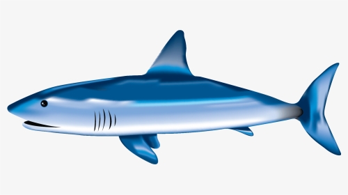 Shark Fin Animated Gif Gif Images Lowgif - Requin Clipart, HD Png Download, Transparent PNG