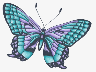 How To Draw A - Design Drawing Beautiful Butterfly, HD Png Download, Transparent PNG
