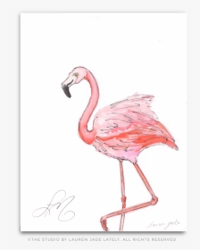 Transparent Flamingo Heart, HD Png Download, Transparent PNG