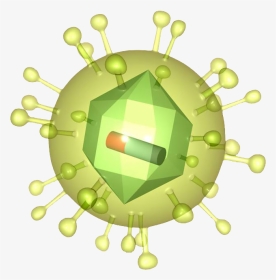 Retrovirus - Circle, HD Png Download, Transparent PNG