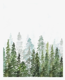 #florest #freetoedit - Watercolor Pine Tree Forest, HD Png Download, Transparent PNG