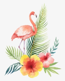 #flamingo #bird #tropical #summer #watercolor - Flamingo Tropical Watercolor Vector, HD Png Download, Transparent PNG