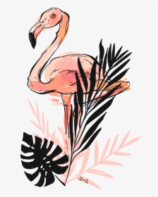 #flamingo #pinkflamingo #leaves #flamingoandleaves - Greater Flamingo, HD Png Download, Transparent PNG
