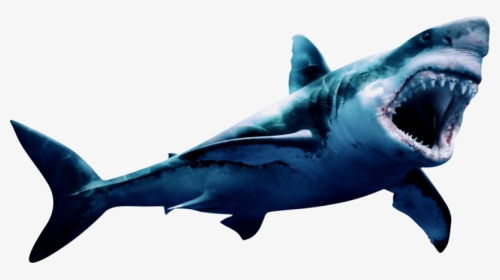 Download Free Png Megalodon Png Pic - Geometric Shark Painting, Transparent Png, Transparent PNG