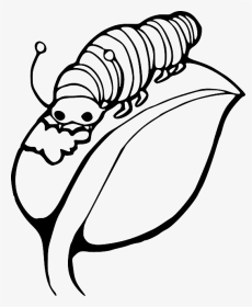 Black, Worm, Outline, Leaf, White, Cartoon, Caterpillar - Draw A Caterpillar On A Leaf, HD Png Download, Transparent PNG