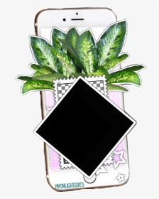Just A Little Iphone/plant/editing Sticker For Your - Plant Texture Png, Transparent Png, Transparent PNG