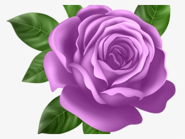 Purple Flower Clipart Pretty - Pink Rose Transparent Background, HD Png Download, Transparent PNG