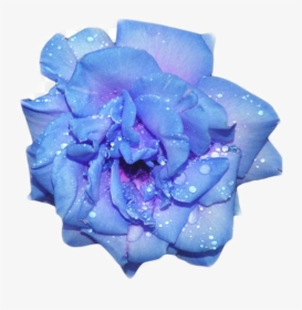 #glitter #blue #blueaesthetic #flower #aesthetic #purple - Aesthetic Blue Flower Transparent, HD Png Download, Transparent PNG