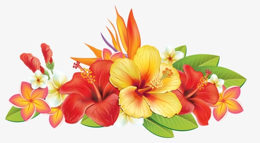 Hawaiian Flower Vector Png, Transparent Png, Transparent PNG