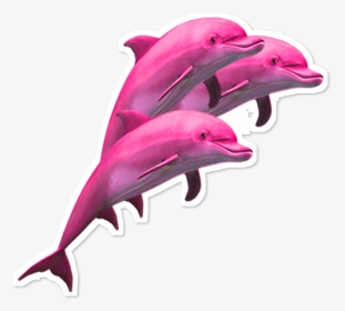 #delfin #dolphin #dolphins #pink #rosa #vaporwave #aesthetic - Dolphin Png, Transparent Png, Transparent PNG