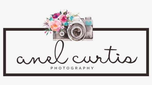 Anel Curtis Photography - Floral Design, HD Png Download, Transparent PNG