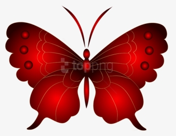 Download Decorative Png Photo - Butterfly Red Images Transparent Background, Png Download, Transparent PNG