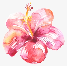 Transparent Watercolor Splotch Png - Hibiscus Flower In Pink Watercolor, Png Download, Transparent PNG