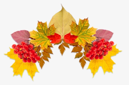 #fall #leaves #leavescrown #crown#freetoedit - Illustration, HD Png Download, Transparent PNG