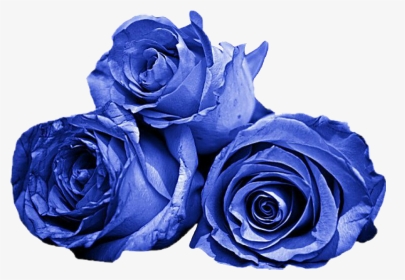 #roses #blue #aestheticblue, HD Png Download, Transparent PNG