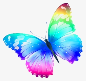 Clip Art Transparent Butterfly, HD Png Download, Transparent PNG