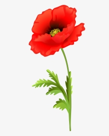 Poppy Flower Png Clip Art Image - Poppy Flower Clipart Png, Transparent Png, Transparent PNG