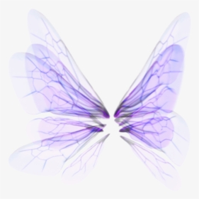 #wings - Butterfly, HD Png Download, Transparent PNG