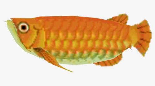 Download Zip Archive - Pomacentridae, HD Png Download, Transparent PNG