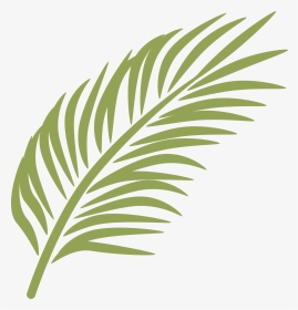 Branch Arecaceae Clip Art Banana Leaf Transprent Ⓒ - Palm Sunday Leaves Clipart, HD Png Download, Transparent PNG