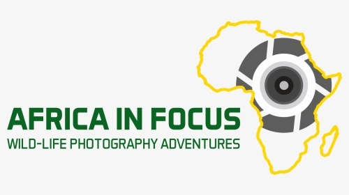 Africa In Focus - Graphic Design, HD Png Download, Transparent PNG