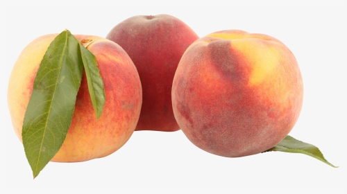 Peach - Portable Network Graphics, HD Png Download, Transparent PNG