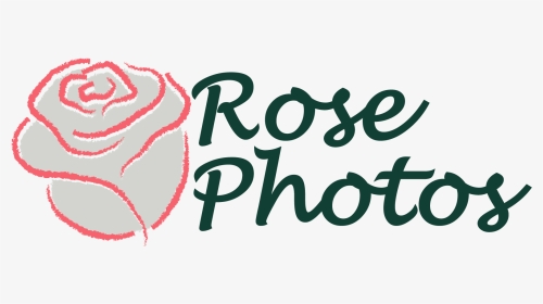 Rose Photography - Moto Eleven, HD Png Download, Transparent PNG