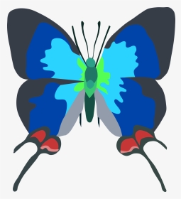 Butterfly Is Very Rare, HD Png Download, Transparent PNG