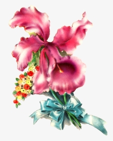 Orchid Flower Image Illustration Botanical Art - Desert Rose, HD Png Download, Transparent PNG