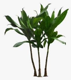 Houseplant Flowerpot Clip Art Palm Trees Plants - Transparent Background Plant Pot Png, Png Download, Transparent PNG