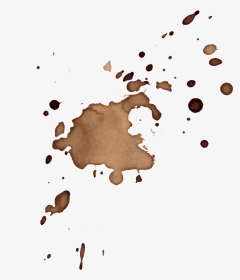 16 Coffee Stains Splatter Vol - Coffee Stains Png Transparent, Png Download, Transparent PNG