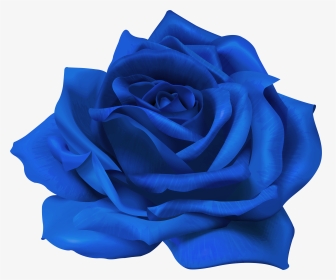 Transparent Flower Blue Rose, HD Png Download, Transparent PNG