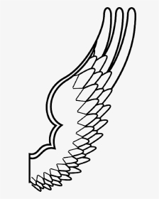 Spread, Drawing, Design, Angel, Wing, Feathers - Wing Outline Png, Transparent Png, Transparent PNG
