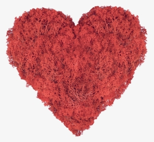 Moss Art Heart Red, HD Png Download, Transparent PNG