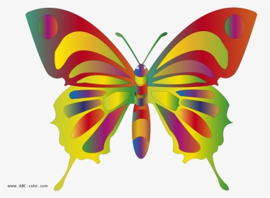 Colorful Butterflies Clipart - Butterfly Clip Art, HD Png Download, Transparent PNG