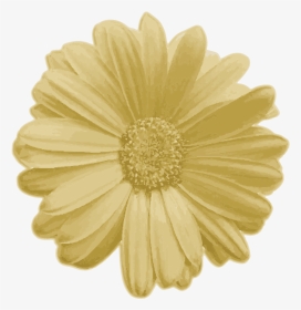 Goldflower - Png Real Flower, Transparent Png, Transparent PNG