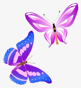 Colorful Butterfly Vector Png, Transparent Png, Transparent PNG