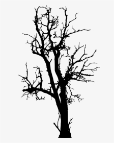 Free Dead Tree Png - Dead Tree Silhouette Png, Transparent Png, Transparent PNG